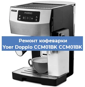 Чистка кофемашины Yoer Doppio CCM01BK CCM01BK от накипи в Воронеже